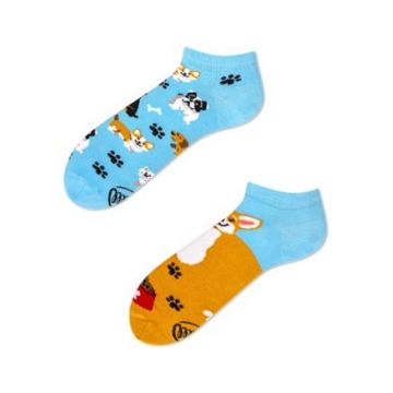 Lage sokken Playful Dog 43/46