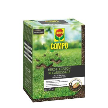 Gazonherstel 100m2