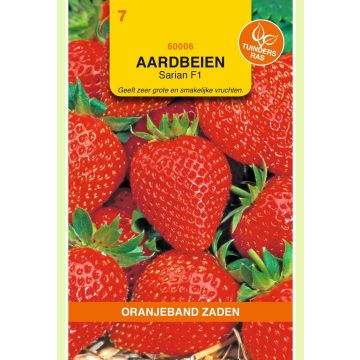 Zaden Aardbeien Sarian F1