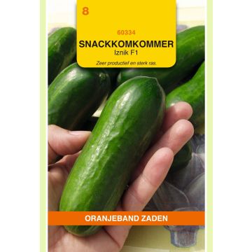 Zaden Snackkomkommer Iznik F1