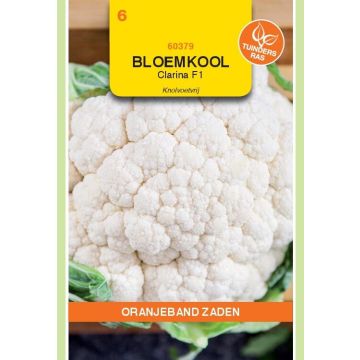 Zaden Bloemkool Clarina F1