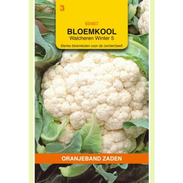 Zaden Bloemkool Walcheren Winter 5