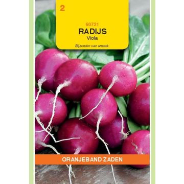 Zaden Radijs Viola