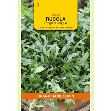 Zaden Rucola Dragons Tonque