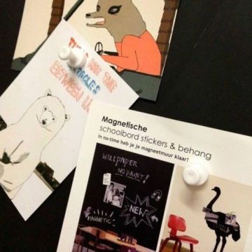 Groovy Magnets pionmagneet wit