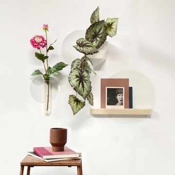 Magneetsticker rond wit (set van 3)