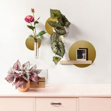 Magneetsticker rond goud (set van 3)