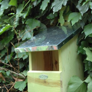 Nestkast roodborst