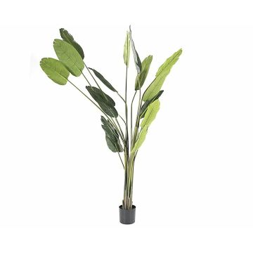 Kunstplant Palm L