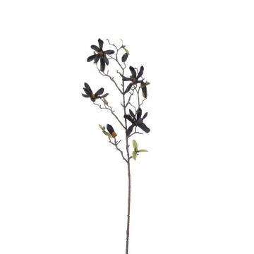 Magnolia zwart - l75xb22xh4cm
