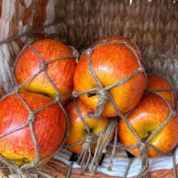 Appel decoratief (set van 2)