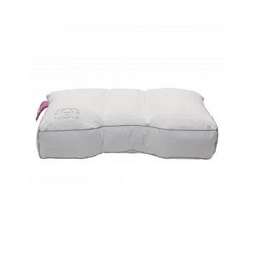 Hoofdkussen Royale 50 x 70 paars