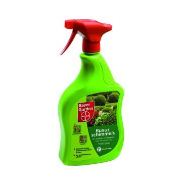 Buxusschimmelspray Curalia 1L