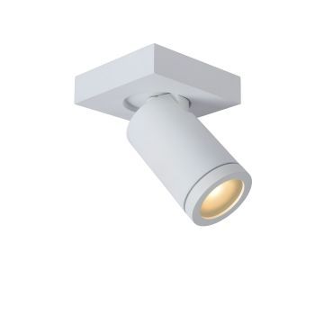 Plafondspot badkamer Taylor 1 x 5 W