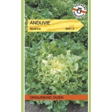 Tuinplus andijvie nuance