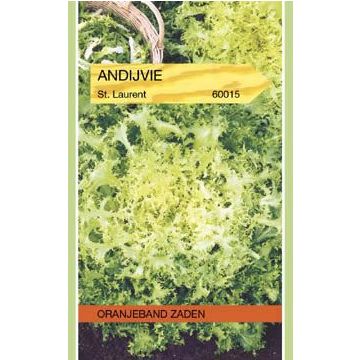 Tuinplus andijvie st. laurent