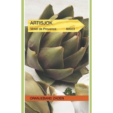 Tuinplus artisjokken violet de provence