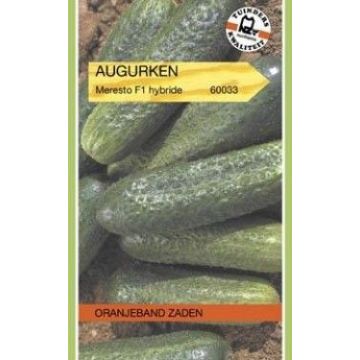 Oranjeband zaden augurken stimora f1 hybride