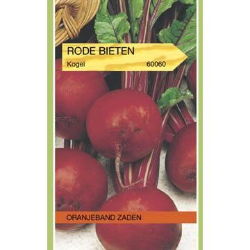 Zaden Rode Bieten Kogel 2