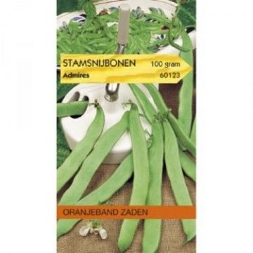 Oranjeband zaden stamsnijbonen admires