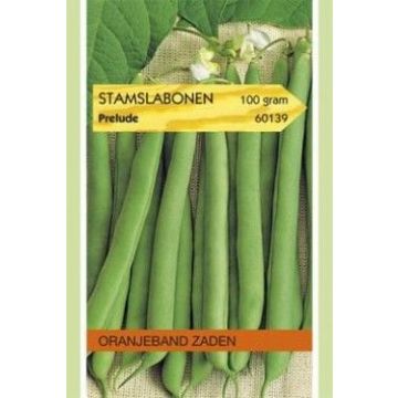 Oranjeband zaden stamslabonen prelude 100g
