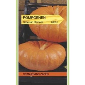 Oranjeband zaden pompoenen rode van etampes