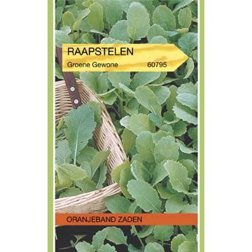 Oranjeband zaden Raapstelen groene gewone
