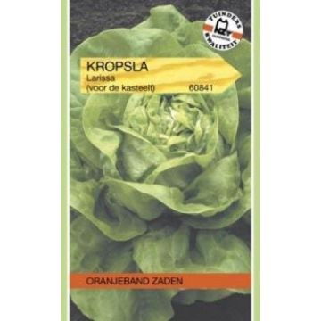 Oranjeband zaden kropsla larissa
