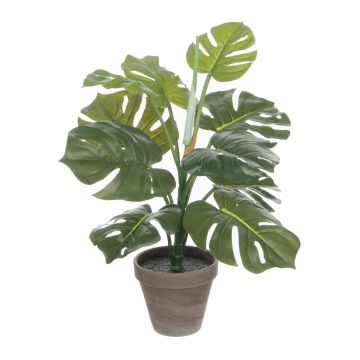 Monstera groen in pot Stan grijs