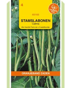 Zaden Stamslabonen Calima