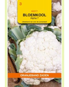 Zaden Bloemkool Alpha