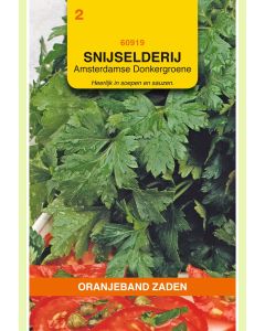 Zaden Snijselderij Amsterdamse Donkergroene