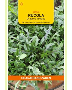 Zaden Rucola Dragons Tonque