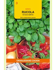 Zaden Gewone Rucola