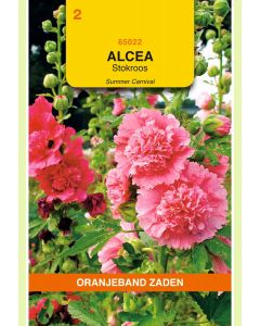 Zaden Stokrozen Alcea Summer Carnaval