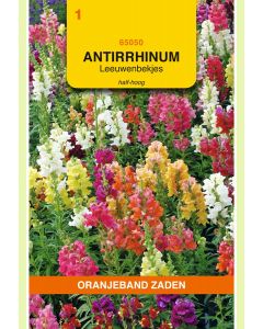 Zaden Leeuwenbekje Antirrhinum Majus Nanum Gemengd