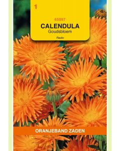 Zaden Calendula Goudsbloem Radio