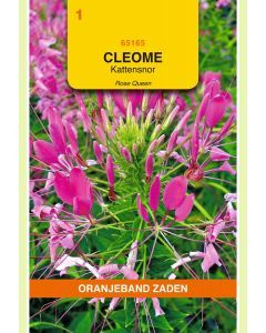 Zaden Cleome Kattensnor Roze