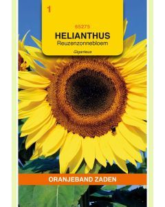 Zaden Helianthus Zonnebloem Giganteus