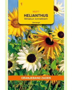 Zaden Helianthus Zonnebloem Miniatuur Gemengd