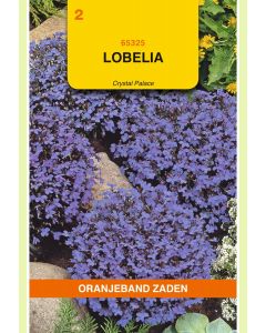 Zaden Lobelia Crystal Palace