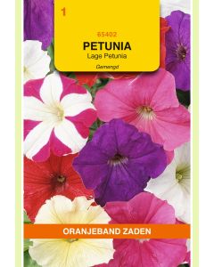 Zaden Petunia Multiflora Gemengd