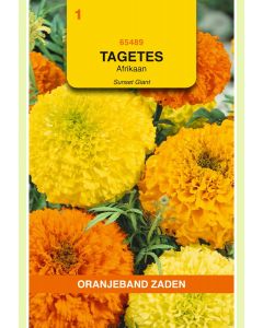 Zaden Tagetes Sunset Giants Gemengd