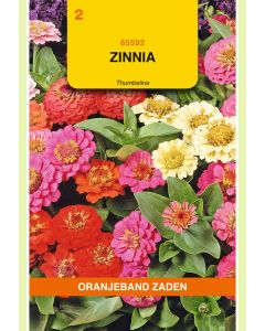 Zaden Zinnia Thumbelina Gemengd