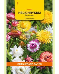 Zaden Helichrysum Dubbel Gemengd