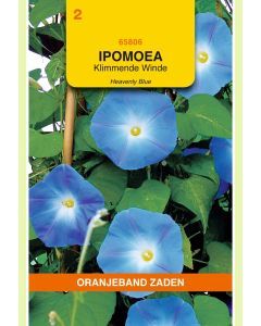 Zaden Ipomoea Heavenly Blue