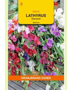 Zaden Lathyrus Odoratus Spencer Gemengd