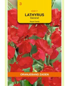 Zaden Lathyrus Odoratus Royal Rood