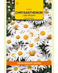 Zaden Chrysanthemum Little Princess