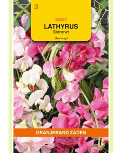 Zaden Lathyrus Latifolius Gemengd